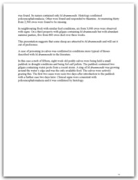2005 page 19